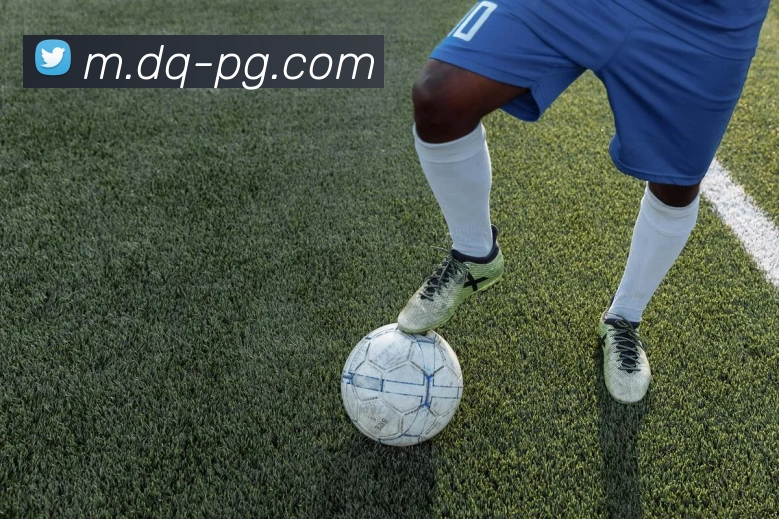 pg模拟器平台生态图