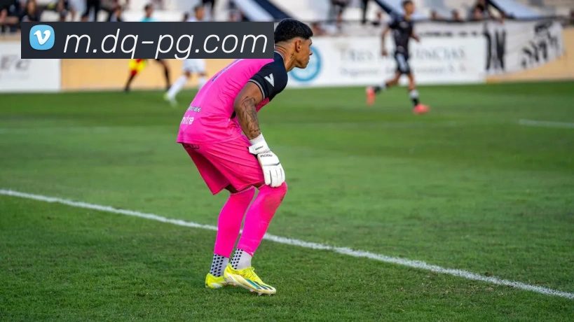 pg模拟器APP 封面图